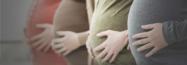 Prenatal Pregnancy